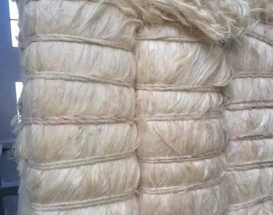 Quelle offre Fibre choisir au Maroc selon votre budget