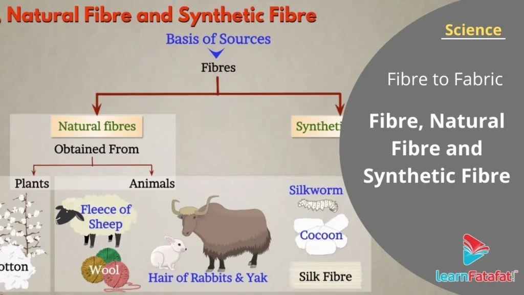 Même immeuble, résultats Fibre différents